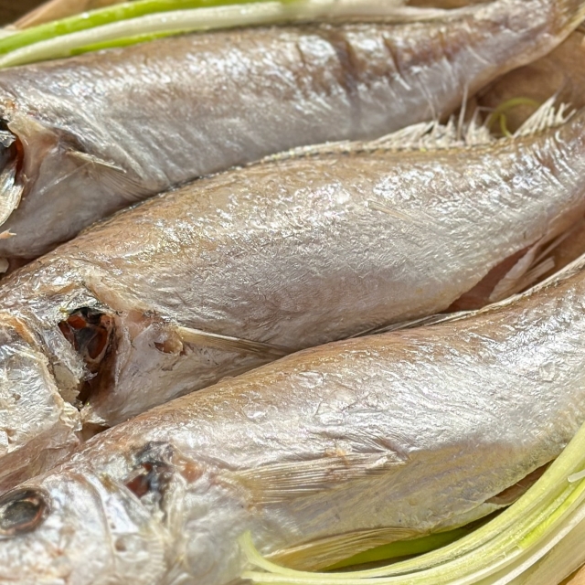 여수바다의 맛! 반건조백조기 백굴비 1kg