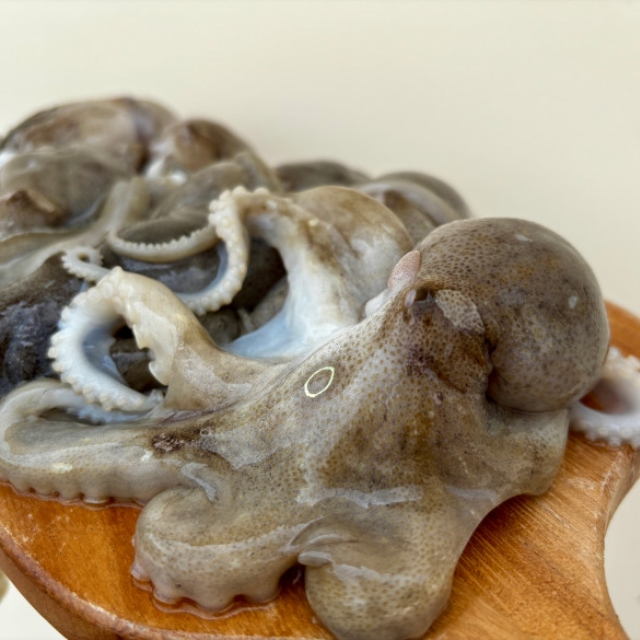 알차다 알차! 급냉 쭈꾸미 1kg