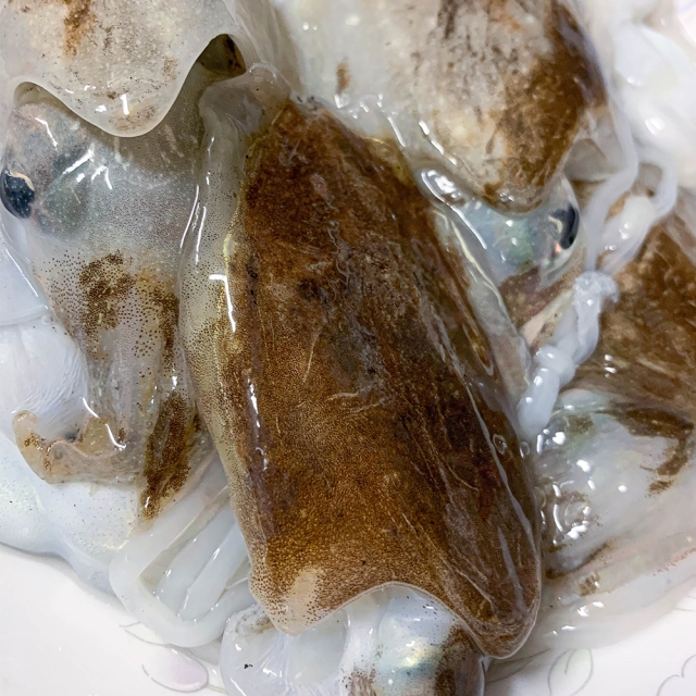 감칠맛이 뛰어난 국내산 손질갑오징어