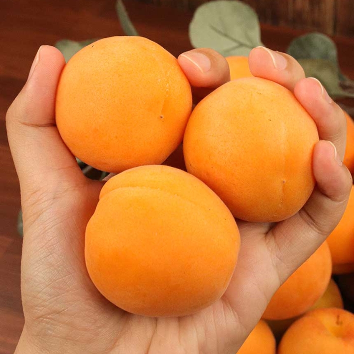 영천 만금살구 폭탄세일 500g 