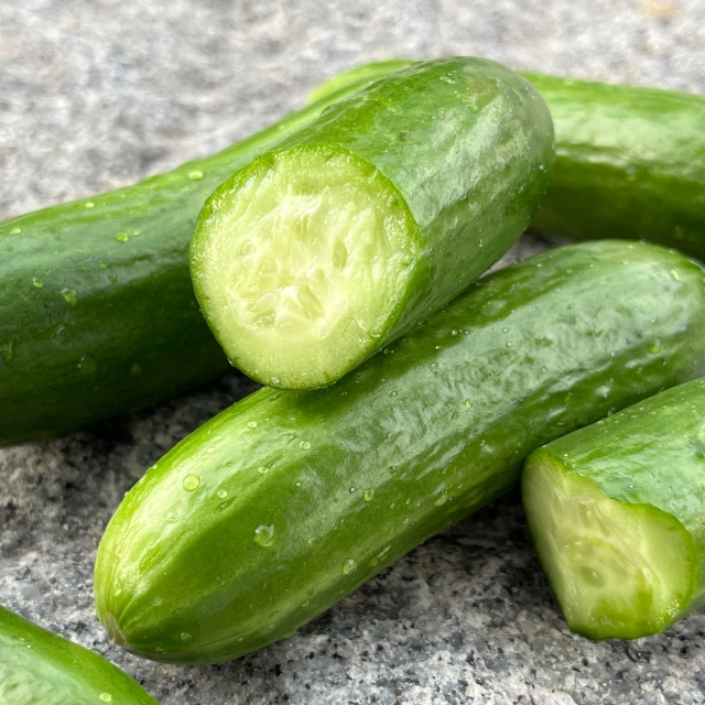 아삭아삭 맛있는 스낵오이 미니오이 1kg 반짝특가
