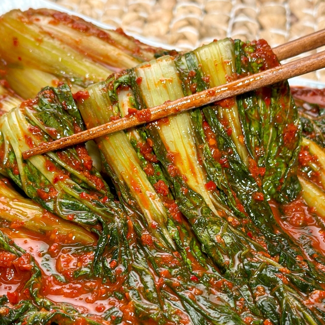 입맛살아나는 전라도 별미 얼갈이겉절이