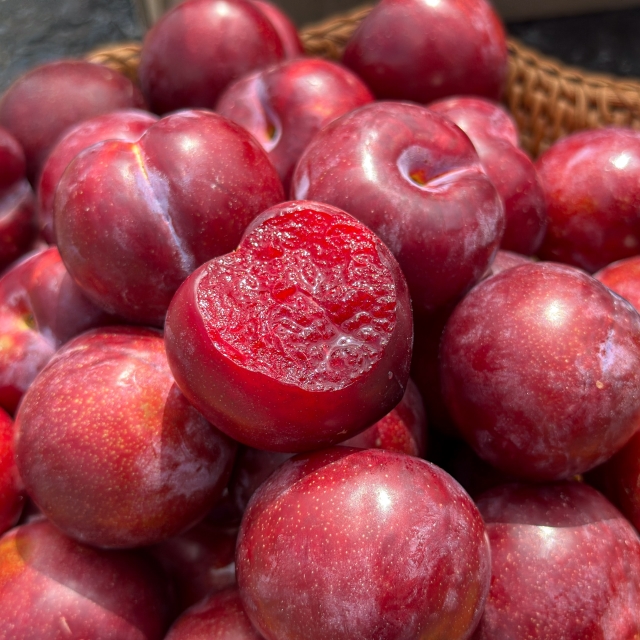 햇 피자두 1kg / 새콤달콤 아삭한 식감
