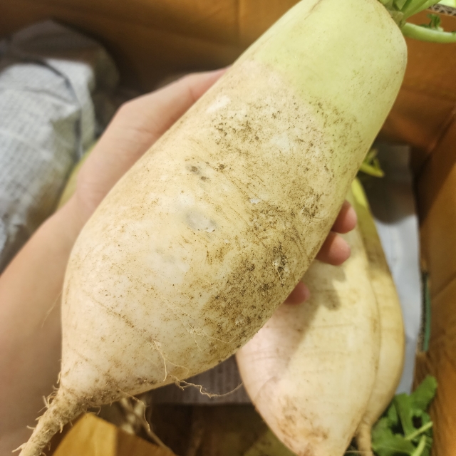 우리 땅의 기운을 가득 담은 제철 흙무