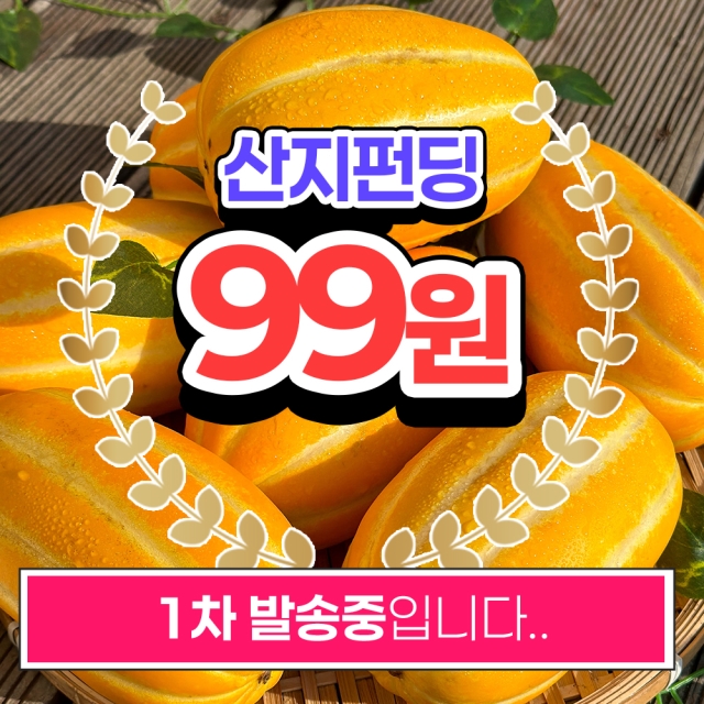 [산지펀딩] 고당도 성주꿀참외 10kg